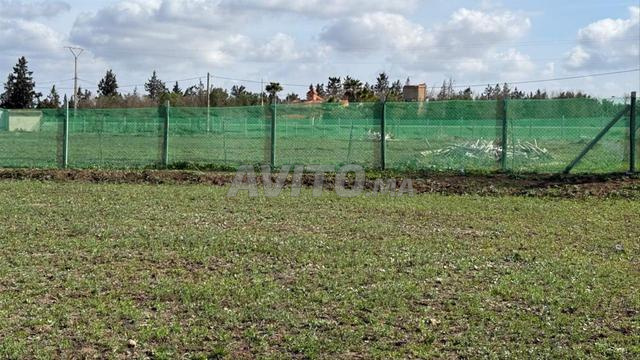1.56 ha agricole titré à vendre à Benslimane - 2