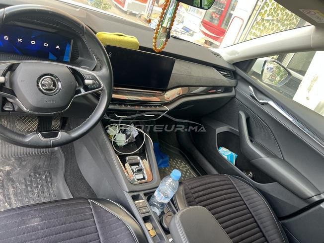 octavia toute neuve 2023