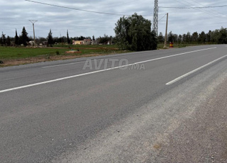 3,72 ha titré sur la route à Benslimane
