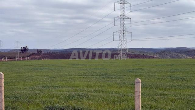 3,72 ha titré sur la route à Benslimane - 2