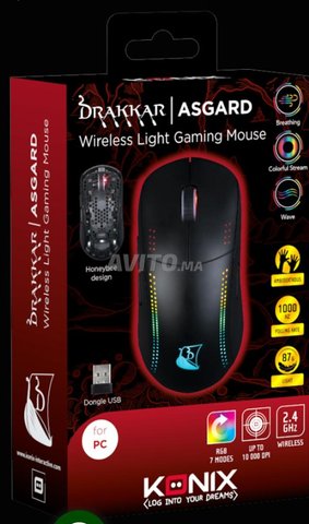Souris Sans Fil Gamer