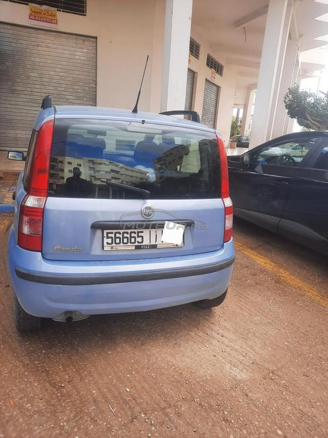 fiat panda