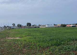 1000 متر مسجلة و محفظة للبيع