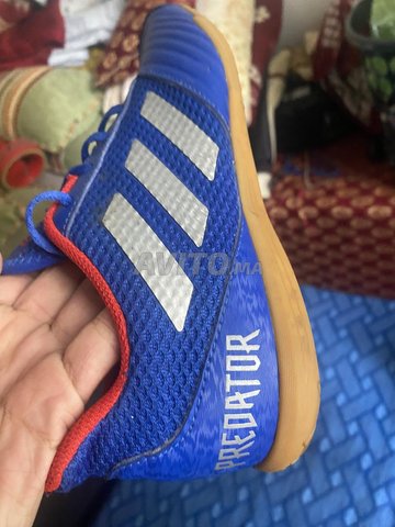 Adidas predator original pour Sport