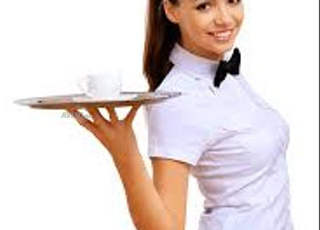 طلب العمل في المقهى