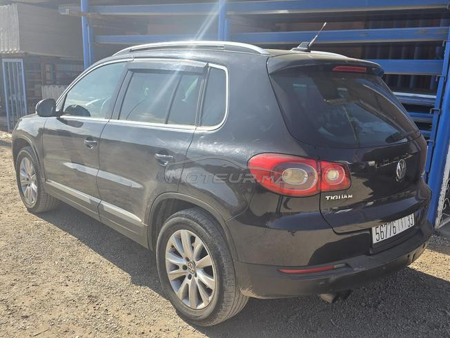 tiguan 2010