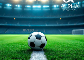 Terrain de sport et loisirs pour location