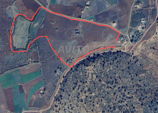 للبيع - أرض زراعية  À vendre - Terrain agricole