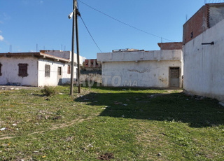 Terrain à vendre à Melloussa