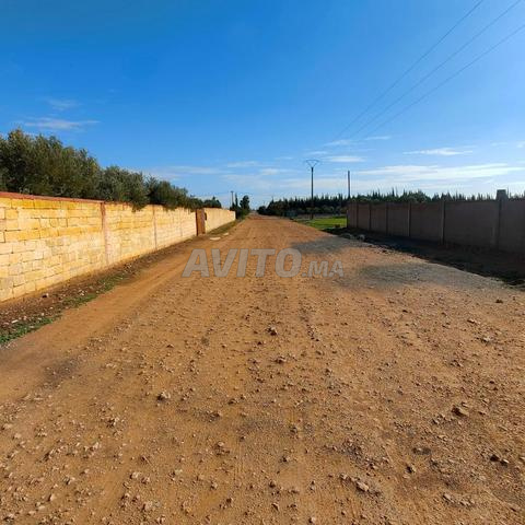 terrain agricole titre berrechid ارض فلاحية برشيد