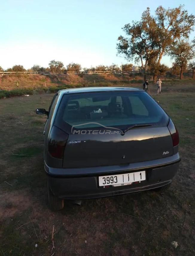 fiat palio
