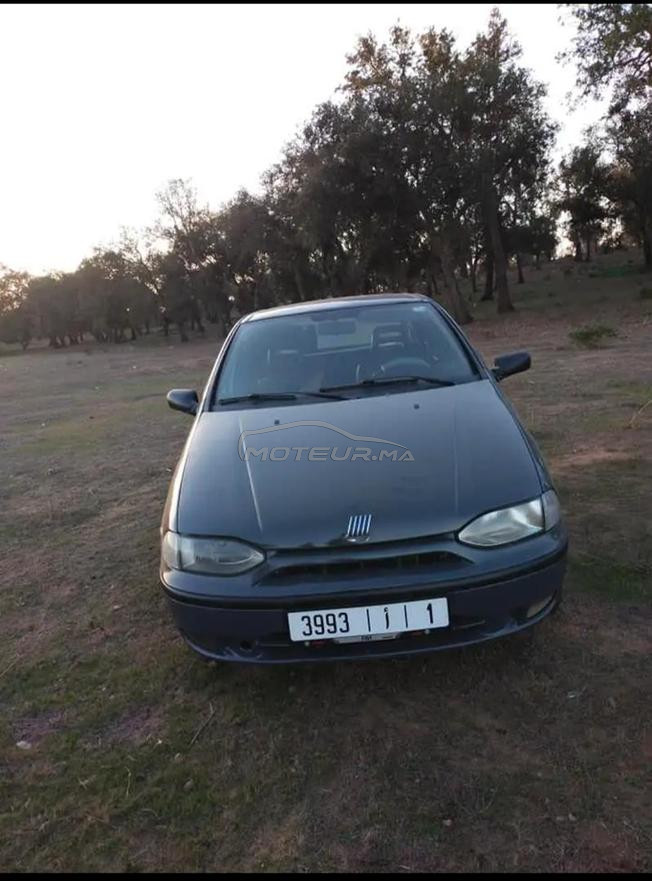 fiat palio