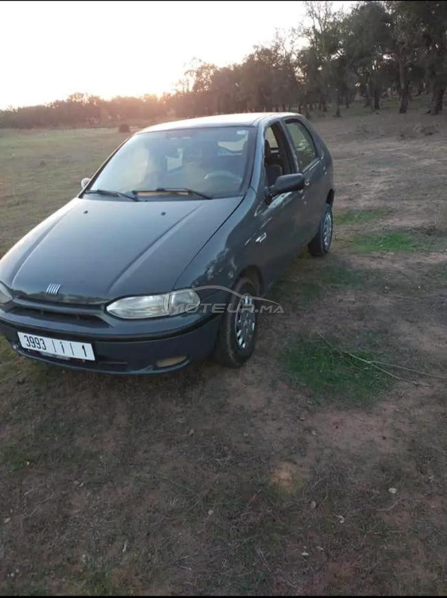 fiat palio