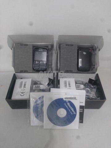 BlackBerry Curve 8520   et    microSD 1Gb