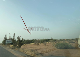 Terrain Agricole Titré – 3,2 Ha – Zone Villas 