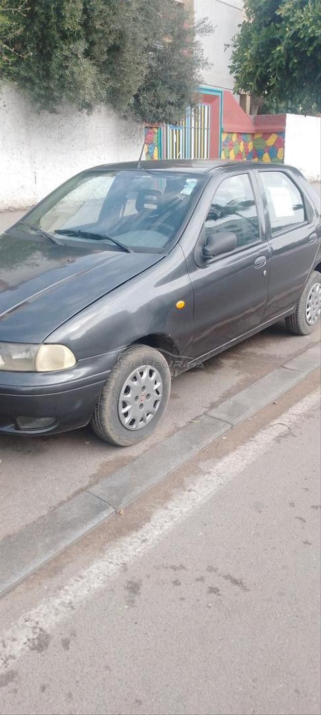 fiat palio 