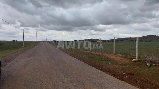 Ter titre 7ha lamaaziz Tiflet