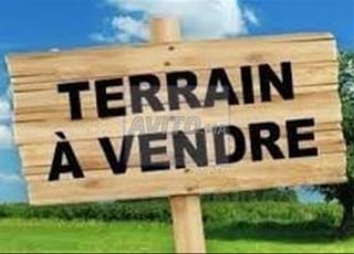 Terrain zone industrielle 