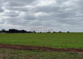 قطعة أرض زراعية مساحتها 2 هكتار في بنسليمان