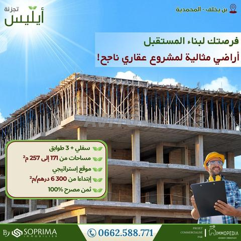 🏗 𝗟𝗼𝘁𝗶𝘀𝘀𝗲𝗺𝗲𝗻𝘁 𝗔𝗬𝗟𝗜𝗦 ✨️