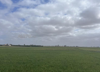 18000 mètres titré les environs de Birjdid