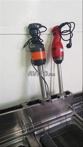 mixeur plongeant girafe professionnel 
