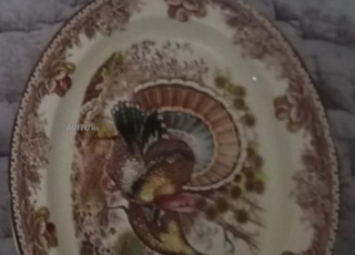  3 طباسل الطاوس الحر الحجم الكبير 