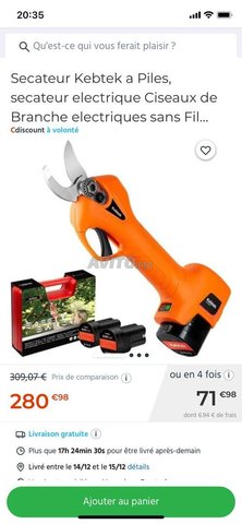Sécateur électrique kebtek