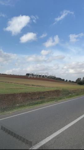 ارض 1100متر على طريق وطنية 1كم من مدينة