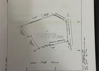 Terrain de 800 m2 Bd ghandi à vendre 