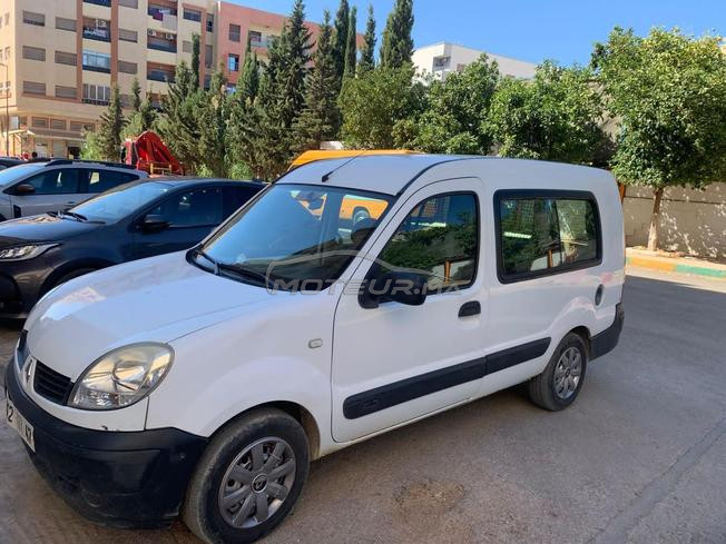 kangoo