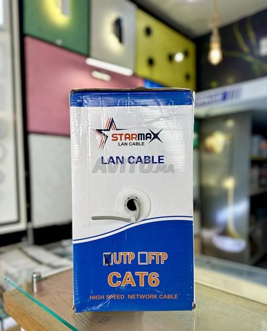 Câbles Cat 6 UTP/FTP High Speed en Gros