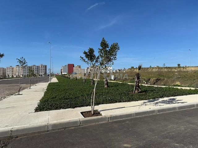 الأراضي للبيع بمسلما في مشروع المالكة عاصة