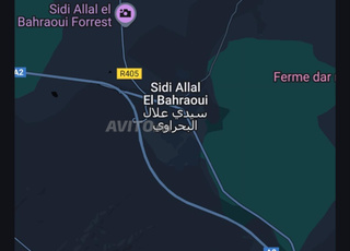 terrain zone villa 205