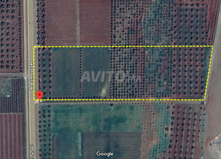 Terrain 3 ha Rte d'Immouzer  à 5,1 millions de DH 