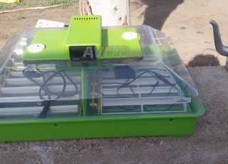 couveuse  60 œufs  marque cimuka 