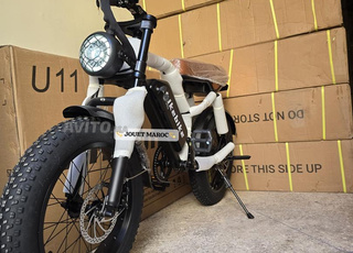 مطور هالي اكتريك