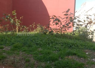 Terrain 150 m² à vendre 3ème étage