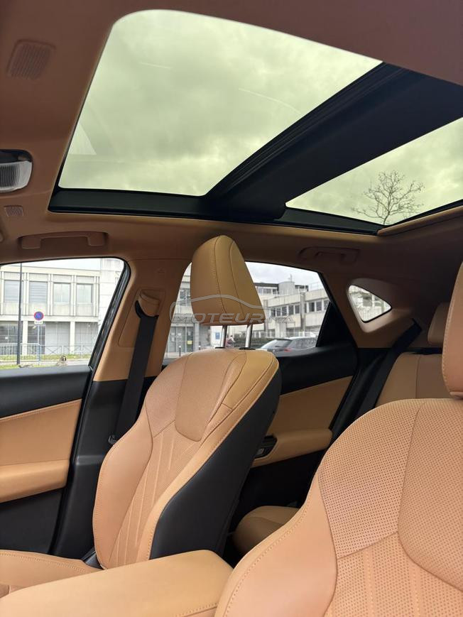 Lexus NX Hybride 350H exécutive 2wd Auto 2024