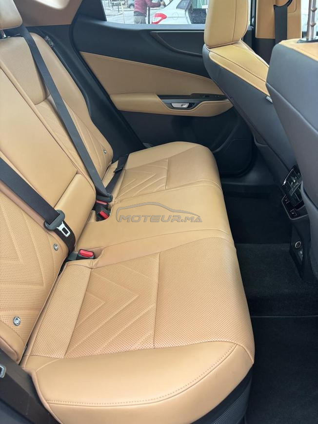 Lexus NX Hybride 350H exécutive 2wd Auto 2024