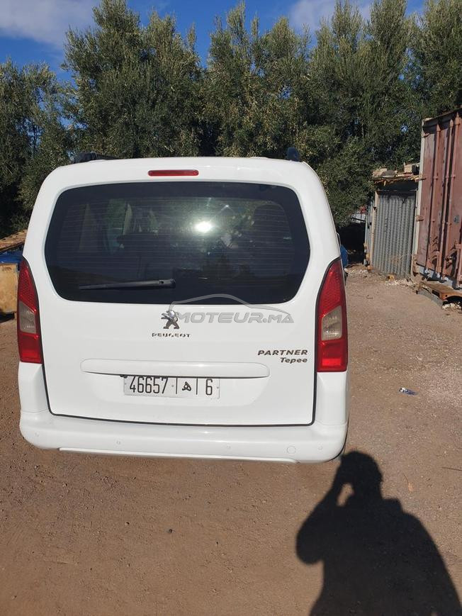 peugeot tepee 