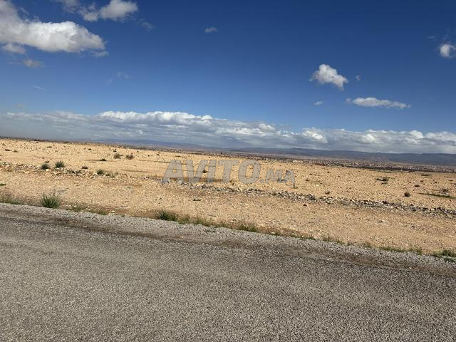 7 hectares titrée agricole 4 km à oujda