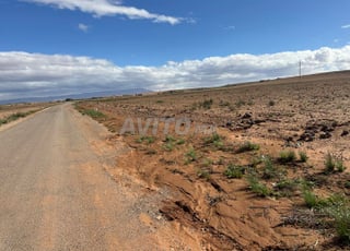 2 hectares titrée agricole 3 km à marjane oujda