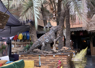 je cherche un associé 