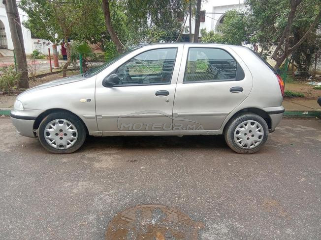 palio fiat