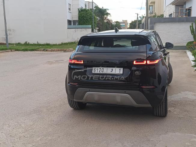 évoqué bb velar