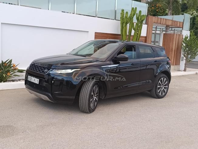 évoqué bb velar