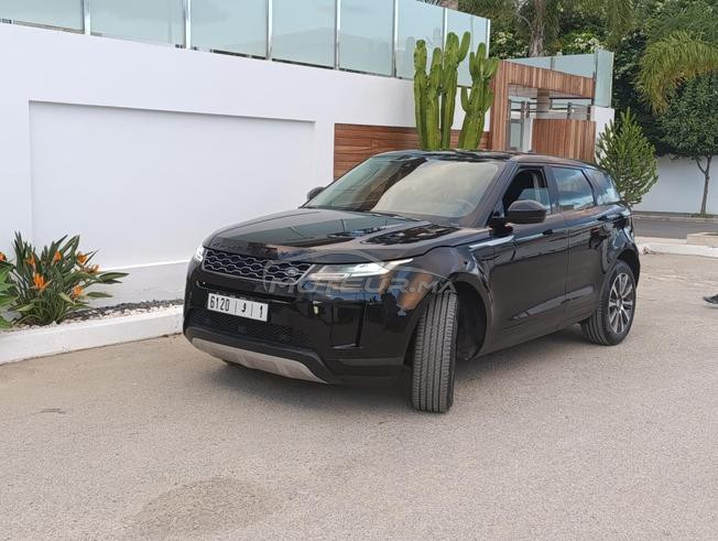 évoqué bb velar