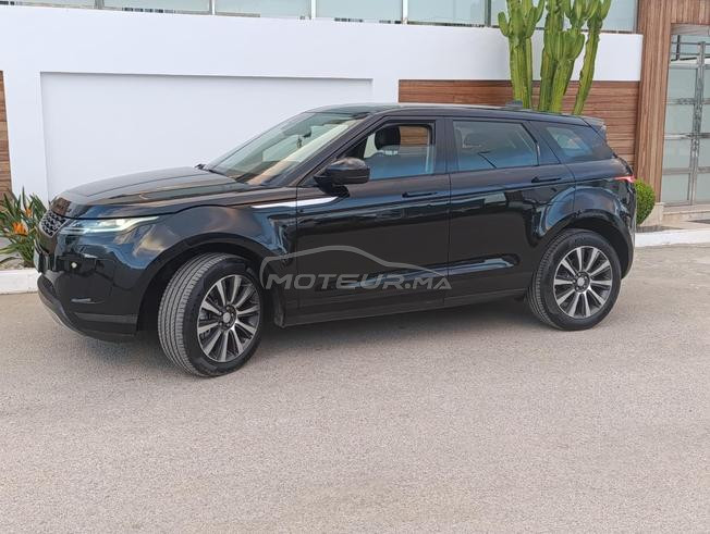 évoqué bb velar