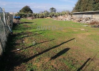 أرض بالعرجات السهول